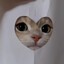 www