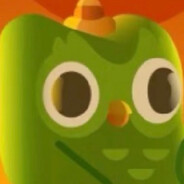 你真的一点都不学是吗