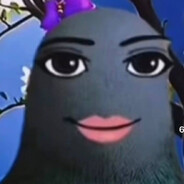 (¬‿¬)
