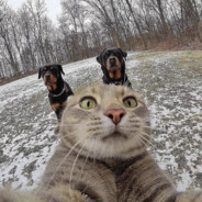 大奶少妇我的爱