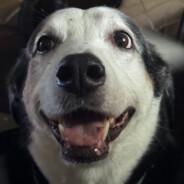 Cosmo