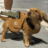 ʍɮɢ Frytownica™