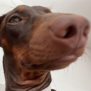 tocea- - steam id 76561198274924155