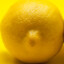 LemonTit