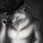 sigma wolf gang