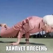 Хайпует плесень