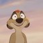 Timon