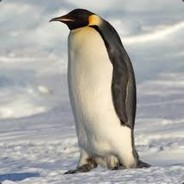 FLIPPEr101 avatar