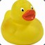 RubberDuckie96