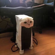 小怪兽