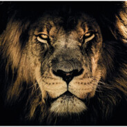 ☭ 𝓛𝓲𝓸𝓷