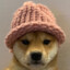 DOG WIF HAT