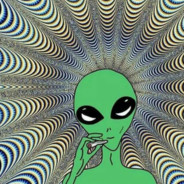 这个杀手不太冷