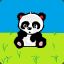 Panda_Cox
