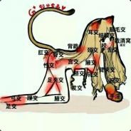 想妮时妮在舔鞭