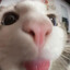 blehmeh's avatar