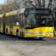 kierowca_autobusunr06