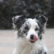 有好事记得想到我