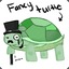 A Fancy Turtle