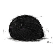 黑毛玉·苦难折磨