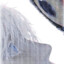 sonqx
