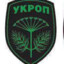 Укроп