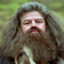 Hairy Hagrid