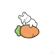 胡萝卜爱吃兔子.