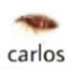 CARLOS