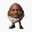 corhanel