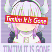 Timtim Is Gone