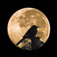 Moonbird