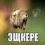 vcheranaverandeoyesoyes