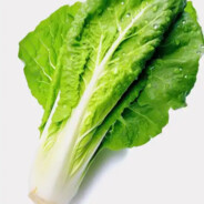 【极】霸矛拥有者