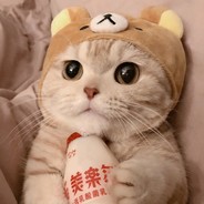 喷香的沙拉脆皮鸡拌饭