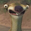 Extra_Slow_Sloth