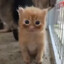 PoopEater