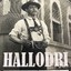 Hallodri