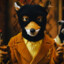 Vulpes Vulpes