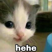 Hehe<3