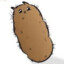 hairy potato cat