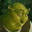 Shrek_thefiona_destroyer