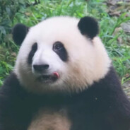 打佐伊的都是坏人