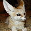 [SLIV] SCP-1294 &quot;Laughing Fox&quot;