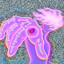 Kobayashi