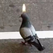 Ahh
