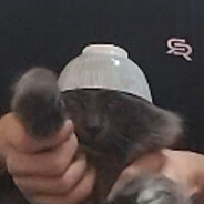 everone @bandit avatar