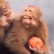 狗熊岭冲锋手光头强