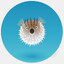 Boomy Blowfish