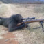 Ape with Gun | **********